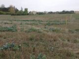  1457635-9995annonce120221025XvLh1.jpeg Maisons Open