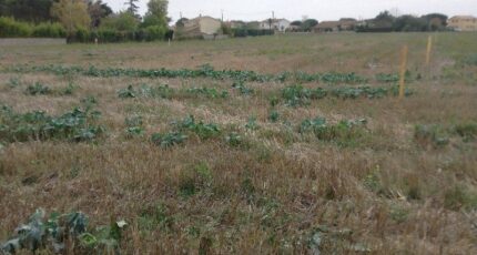 Saubens Terrain à bâtir - 1457635-9995annonce120221025XvLh1.jpeg Maisons Open