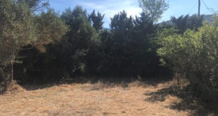 Rocbaron Terrain à bâtir - 1451133-5622annonce42022101711Kym.jpeg Maisons Open