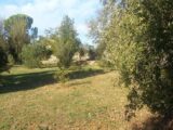  1475155-1594annonce120221118TOZVG.jpeg Maisons Open