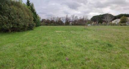 Muret Terrain à bâtir - 1425526-9995annonce120220915wkuF4.jpeg Maisons Open