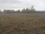  1474717-9995annonce1202211172bF6t.jpeg Maisons Open