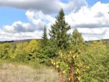  1450368-2684annonce120221017EIKe4.jpeg Maisons Open