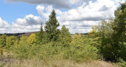 Saint-Antonin-de-Lacalm Terrain à bâtir - 1450368-2684annonce220221017PBP7T.jpeg Maisons Open