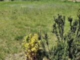  1466314-5472annonce120221107txdWt.jpeg Maisons Open