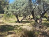  1484490-1594annonce120221201Z39FZ.jpeg Maisons Open