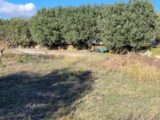  1484544-1594annonce120221201SBIiB.jpeg Maisons Open