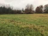  1486201-2684annonce120221205tkgIV.jpeg Maisons Open