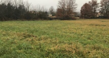 Gaillac Terrain à bâtir - 1486201-2684annonce120221205tkgIV.jpeg Maisons Open