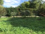  1489561-5622annonce320221209K6zmJ.jpeg Maisons Open