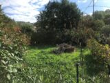  1489561-5622annonce120221209trGu1.jpeg Maisons Open