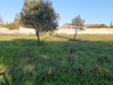  1491070-6929annonce320221212XgO8p.jpeg Maisons Open
