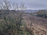  1492342-6929annonce220221213mxMPi.jpeg Maisons Open