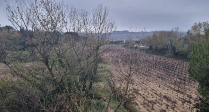 Bédarrides Terrain à bâtir - 1492342-6929annonce220221213mxMPi.jpeg Maisons Open