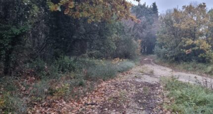 Bédarrides Terrain à bâtir - 1492353-6929annonce220221213gWTTO.jpeg Maisons Open