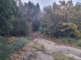  1492353-6929annonce320221213rl816.jpeg Maisons Open