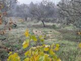  1493159-3418annonce220221214lPipA.jpeg Maisons Open