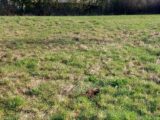  1488648-3421annonce120221208F4xmq.jpeg Maisons Open