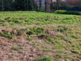  1488657-3421annonce120221208DI1BF.jpeg Maisons Open