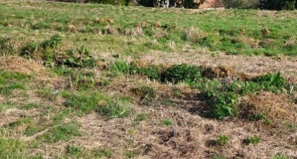 Alençon Terrain à bâtir - 1488662-3421annonce120221208KtNgQ.jpeg Maisons Open