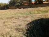  1446069-7066annonce220221010U1UVs.jpeg Maisons Open