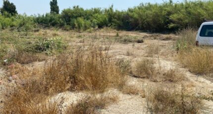Châteauneuf-les-Martigues Terrain à bâtir - 1477902-7060annonce22022080302PTC.jpeg Maisons Open