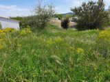  1489242-7060annonce320221208O5p2e.jpeg Maisons Open