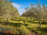  1468777-5871annonce1202211094Rpde.jpeg Maisons Open