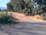  1436398-10234annonce220220928XoVbT.jpeg Maisons Open