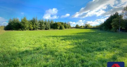 Cessenon-sur-Orb Terrain à bâtir - 1498067-9358annonce120221223OUPE0.jpeg Maisons Open