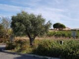  1422757-10167annonce120220913s9qwp.jpeg Maisons Open