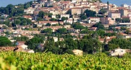 Pierrefeu-du-Var Terrain à bâtir - 1463331-6202annonce2202211023sTUd.jpeg Maisons Open