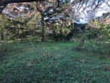  1497953-7034annonce120221223o8zDk.jpeg Maisons Open