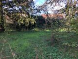  1497953-7034annonce220221223mzVDG.jpeg Maisons Open