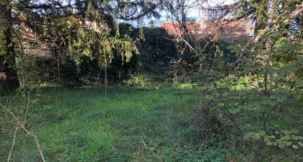 Brignoles Terrain à bâtir - 1497953-7034annonce220221223mzVDG.jpeg Maisons Open