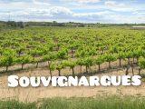 1427224-3243annonce120220918N3o8T.jpeg Maisons Open