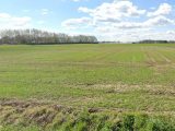  1423903-1807annonce320220914MZIEO.jpeg Maisons Open