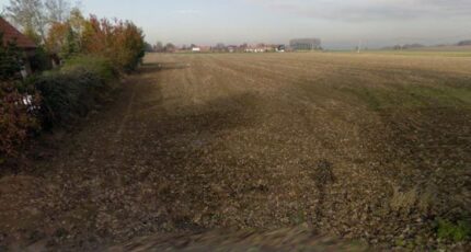 Camphin-en-Pévèle Terrain à bâtir - 1443103-10063annonce120221005B4XT8.jpeg Maisons Open