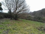  1424718-6172annonce120220915eFQT4.jpeg Maisons Open