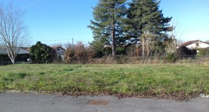 Villemur-sur-Tarn Terrain à bâtir - 1425242-6172annonce120220915aC82I.jpeg Maisons Open