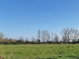  1443132-5202annonce120221005A8ayo.jpeg Maisons Open