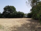  1458715-6172annonce220221026oQTEX.jpeg Maisons Open