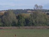  1493370-5202annonce220221215sQA3K.jpeg Maisons Open