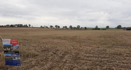 Baralle Terrain à bâtir - 1428237-10222annonce120220919VvoB2.jpeg Maisons Open