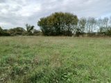  1461422-3704annonce1202210284FgrO.jpeg Maisons Open