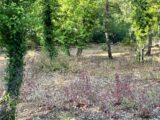  1447359-5826annonce120221012LqO8c.jpeg Maisons Open