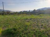  1466711-10316annonce120221107awn8A.jpeg Maisons Open