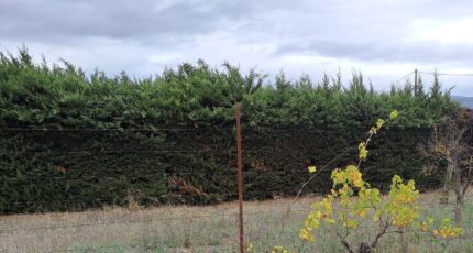 Figanières Terrain à bâtir - 1470006-10316annonce220221110HzZgc.jpeg Maisons Open
