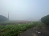 1482697-10222annonce120221129wE5Sg.jpeg Maisons Open