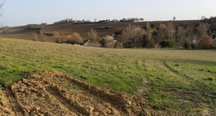 Pompertuzat Terrain à bâtir - 1430761-3014annonce32022092113zmx.jpeg Maisons Open